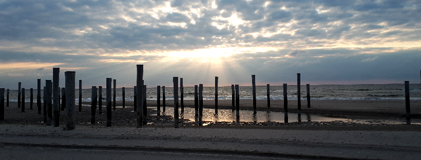 Gesprek zonder woorden