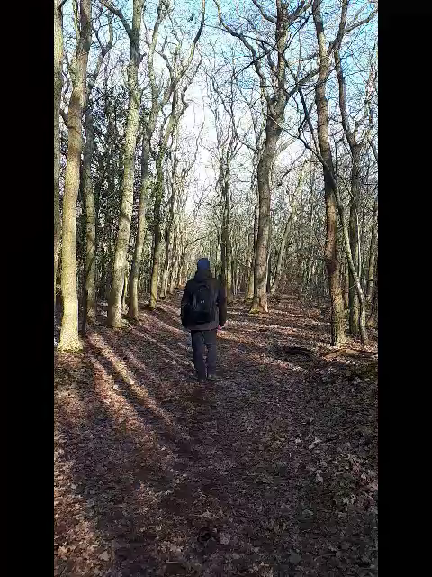 De rugzak van het verleden 