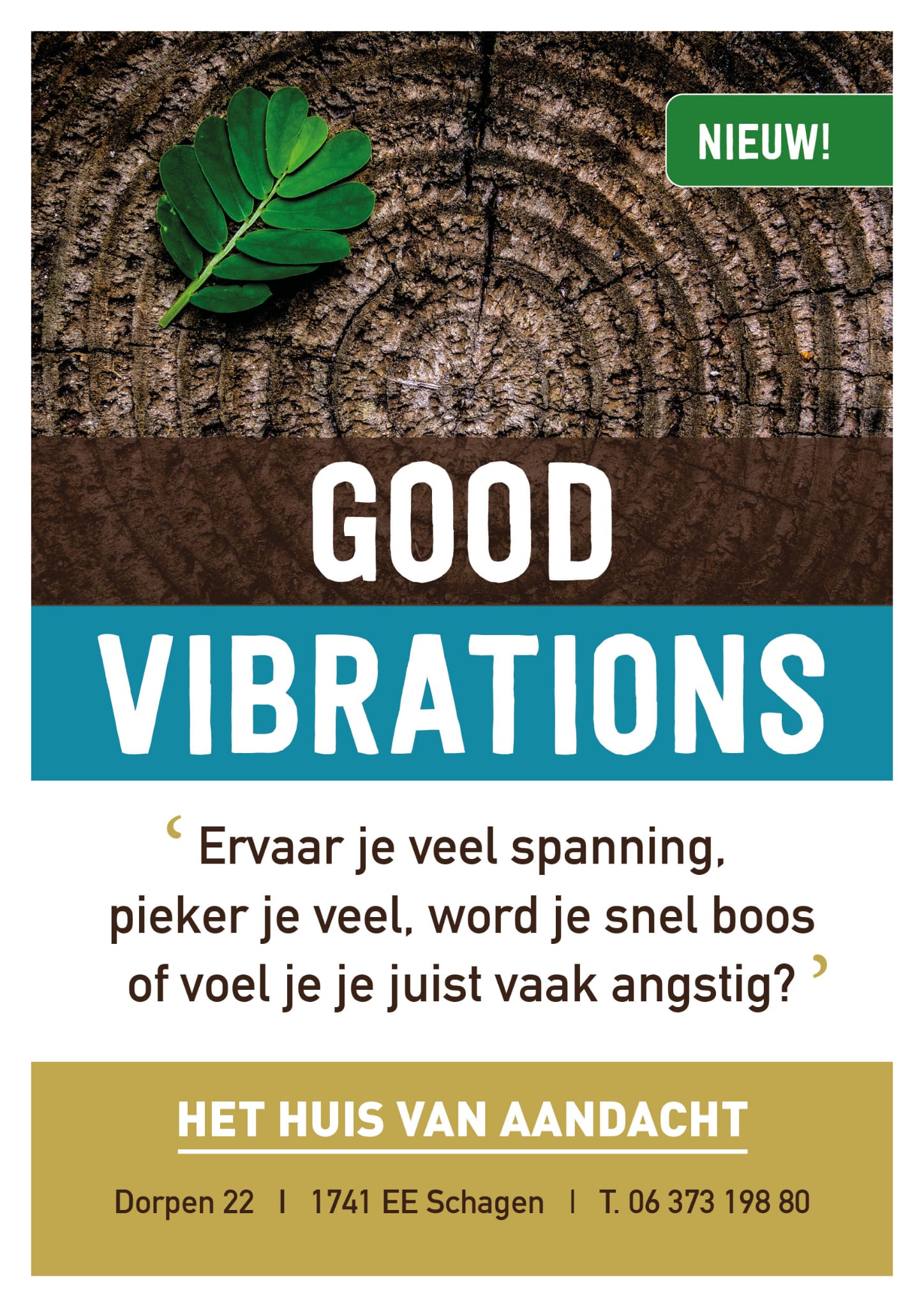 Good Vibrations 
