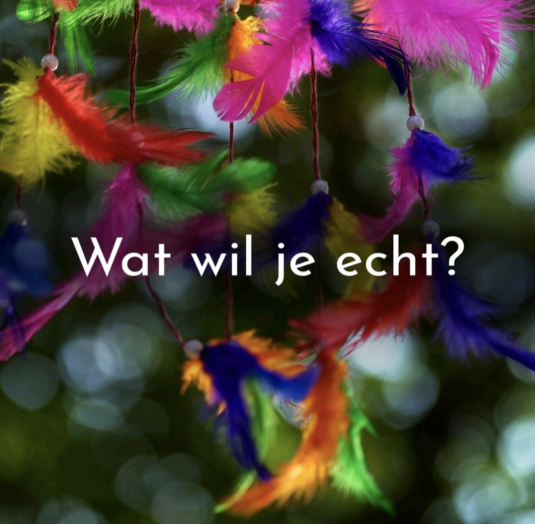 Review ;Wat wil ik echt?  Retraite dag