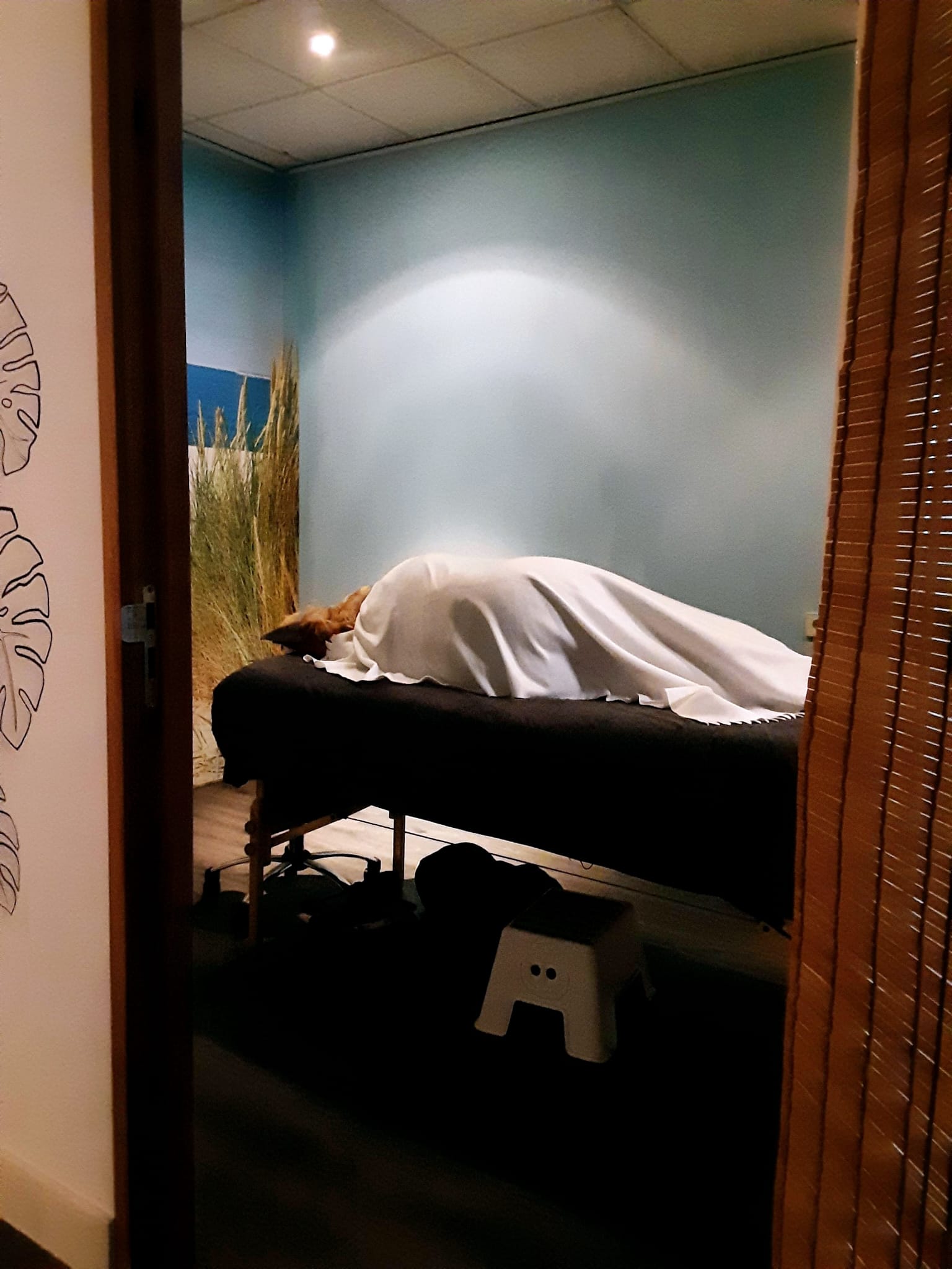 Opgeleid worden door Ester....