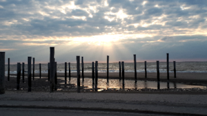 "Ester luistert, oordeelt niet, neemt de tijd en dat laatste voelt zo enorm fijn. Geen tijdsdruk. "