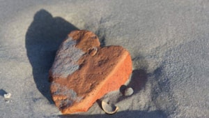 Mijn zachtheid fluistert mij naar huis..